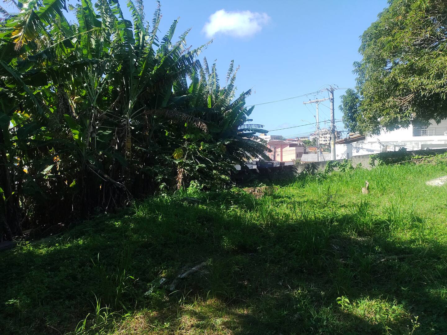 #C17 - Terreno para Venda em Salvador - BA