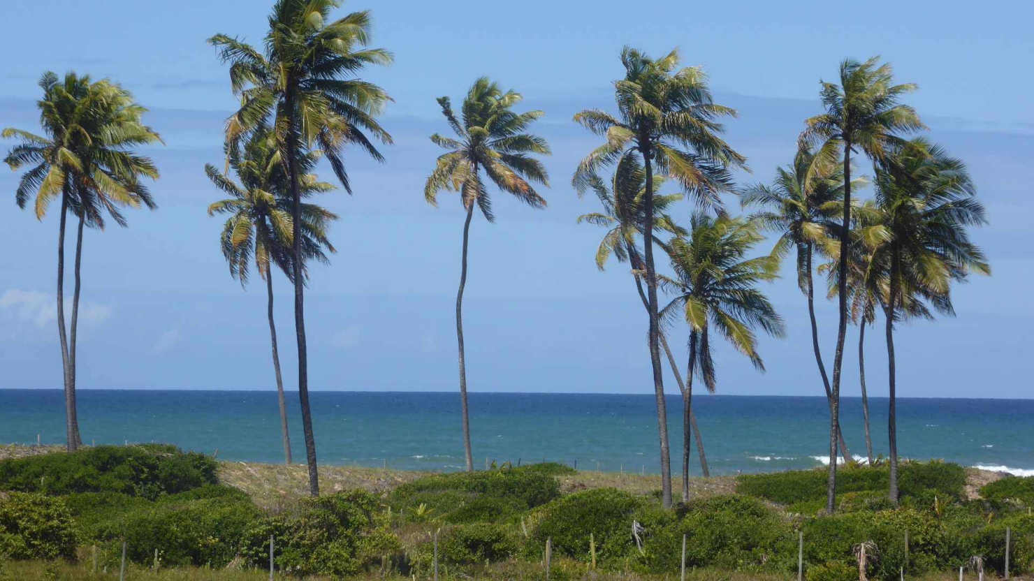 #45C - Casa para Venda em Salvador - BA