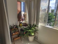 #CS13 - Apartamento para Venda em Salvador - BA