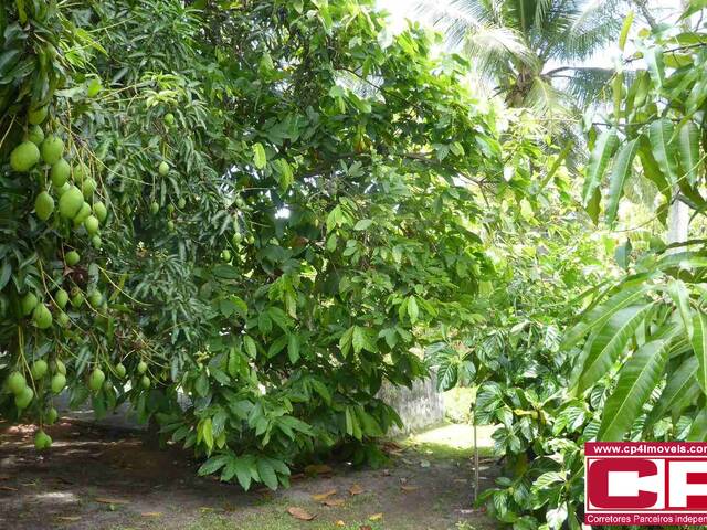 #116 - Casa para Venda em Camaçari - BA - 3