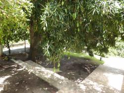 #M116 - Casa para Venda em Camaçari - BA - 2