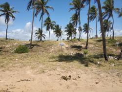 #10F - Terreno para Venda em Esplanada - BA - 2