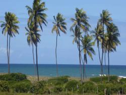 #45C - Casa para Venda em Salvador - BA - 1