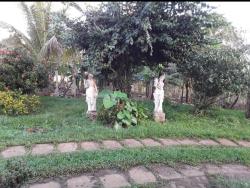 #54B - Fazenda para Venda em Salvador - BA - 1